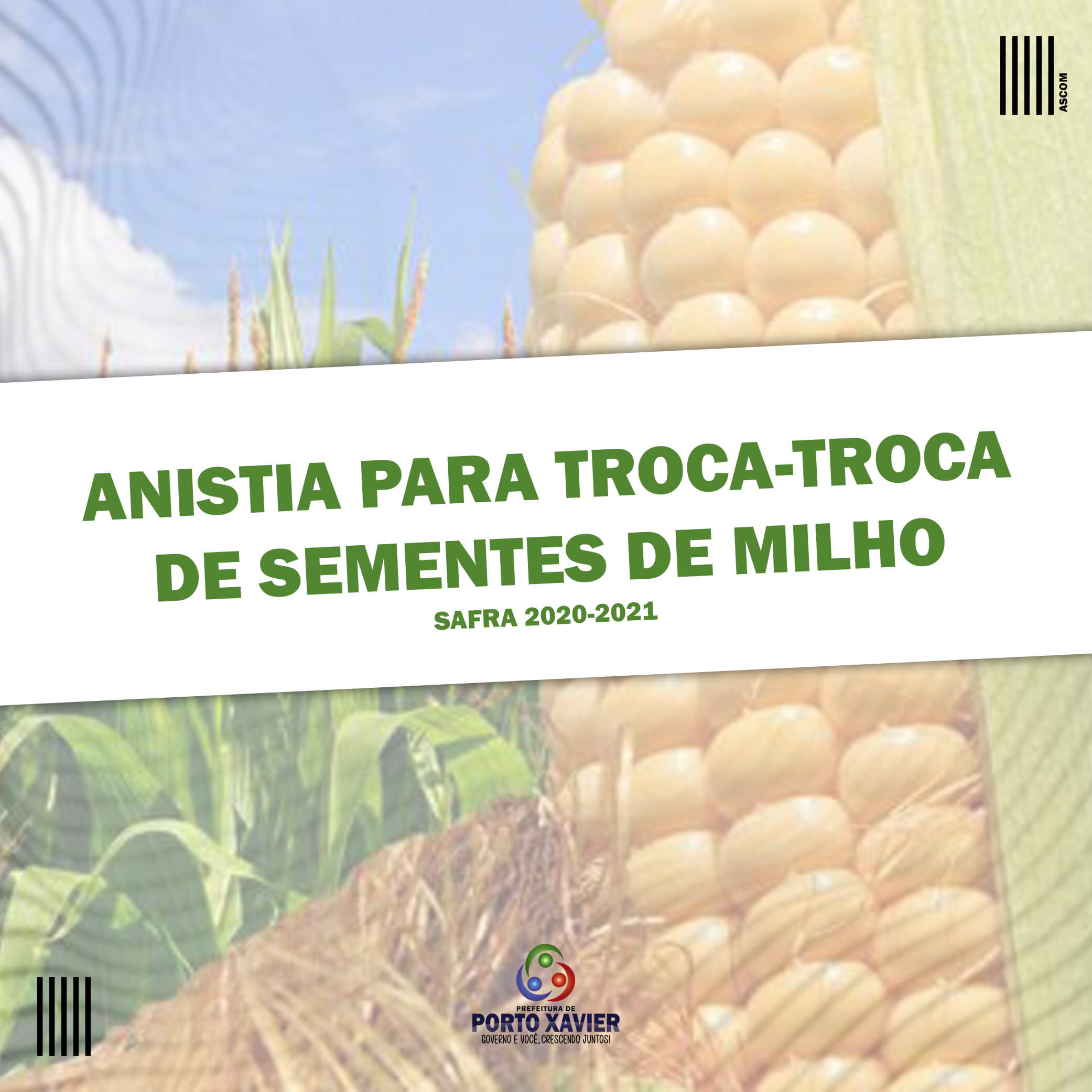 ESTADO CONCEDE ANISTIA AOS AGRICULTORES QUE RECEBERAM SEMENTES PELO PROGRAMA TROCA-TROCA SAFRA 2020/2021